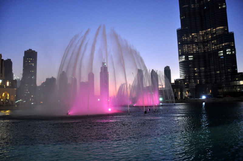 DSC_0793.JPG